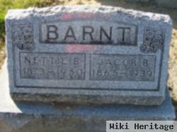 Nettie Bell Baxter Barnt