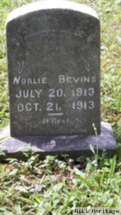 Worlie Edward Bevins