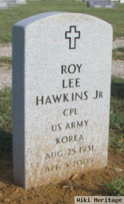 Roy Lee Hawkins, Jr