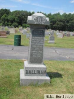 Edward D Hallinan