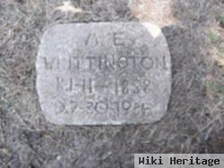 Mary Elizabeth Bert Whittington