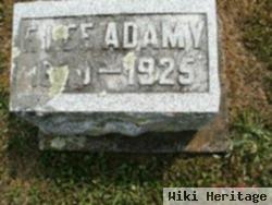 F Lee Adamy