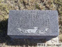 Norman Lewis Bird