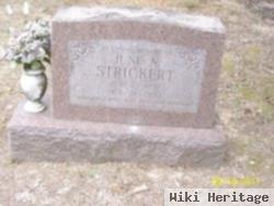 June N. Strickert