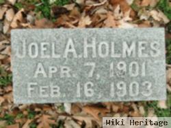 Joel A Holmes