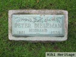 Peter Dieleman B273