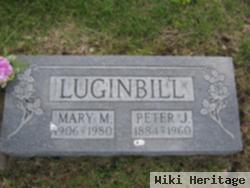 Peter J Luginbill