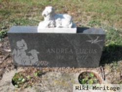 Andrea Lucus