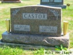 Lloyd L Castor