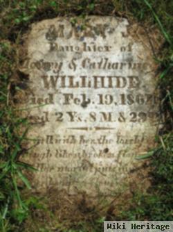 Mary J Willhide