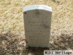 William J Curley