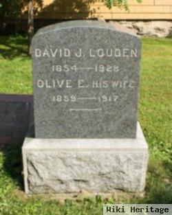 David J Louden