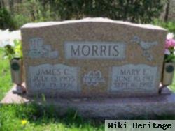 Mary E Morris