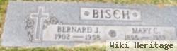 Bernard Joseph Bisch