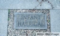 Infant Harrigal