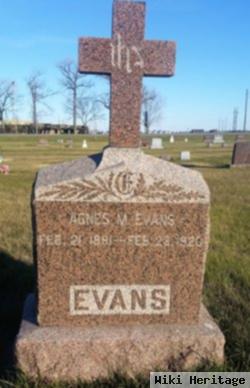 Agnes M Evans