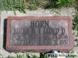 Lloyd D Horn