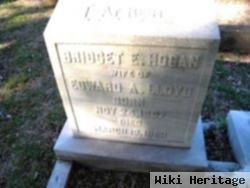 Bridget Elizabeth Hogan Lloyd