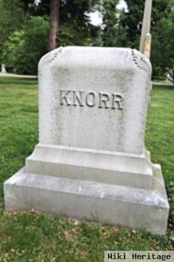 Adam Knorr