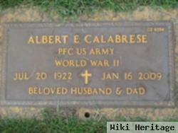 Albert E Calabrese