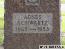 Agnes Schwartz