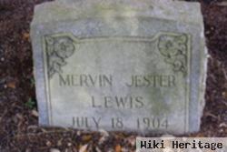 Mervin Jester Lewis