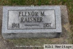 Elenor M Raisner