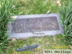 Mary L Gibbs