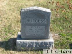 Ridley A. Burgess