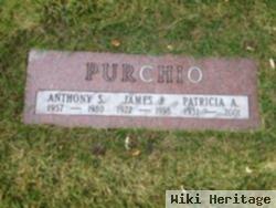 Patricia Ann Hopper Purchio