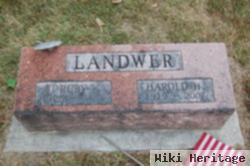 Harold H Landwer