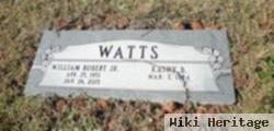 William Robert "bill" Watts, Jr