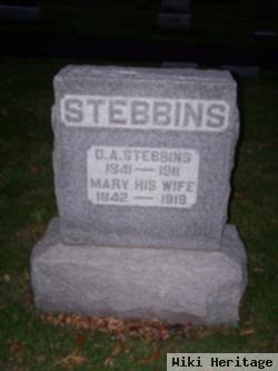 D A Stebbins