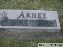 Arlene M Arney