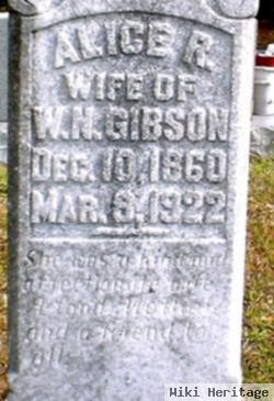 Alice Rebecca Johnson Gibson