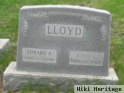 Kate Catherine "katie" Sanford Lloyd