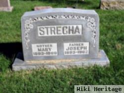 Joseph J. Strecha