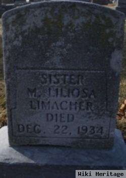 Sr M. Liliosa Limacher