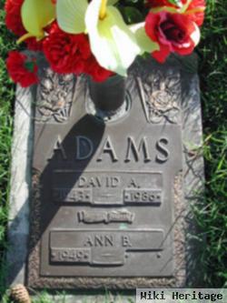 David A. Adams