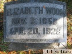 Elizabeth Wood