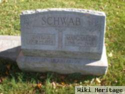 David J. Schwab