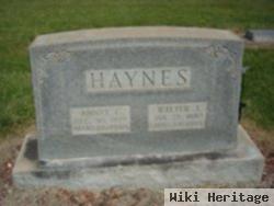 Walter James Haynes