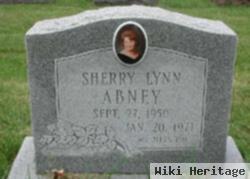 Sherry Lynn Abney