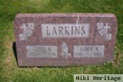 Leroy N Larkins