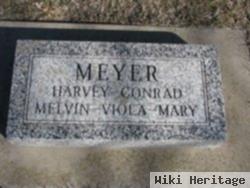 Mary Bucholz Meyer