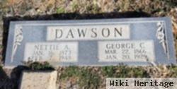 Nettie Ann White Dawson