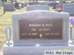 Dallas Ray Bice