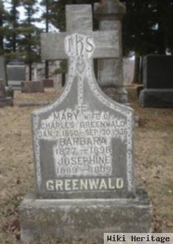 Mary Heer Greenwald