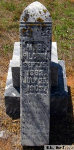 M. B. Pilgrim