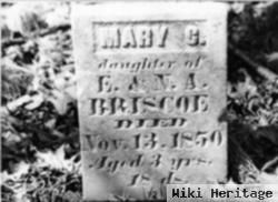 Mary C. Briscoe